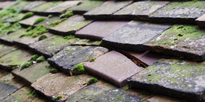 Gwernesney roof repair costs